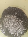 Aloe3.jpg